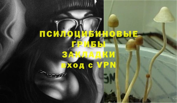 соль курить ск Алексин