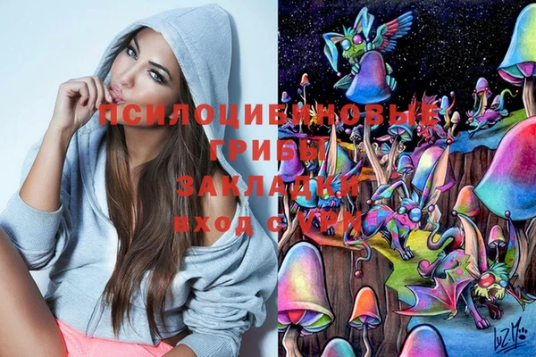ГАЛЛЮЦИНОГЕННЫЕ ГРИБЫ Алзамай