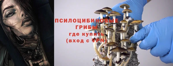 ГАЛЛЮЦИНОГЕННЫЕ ГРИБЫ Алзамай