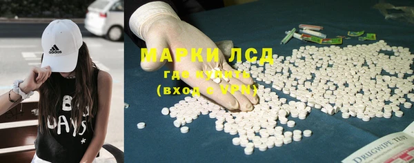 ГАЛЛЮЦИНОГЕННЫЕ ГРИБЫ Алзамай